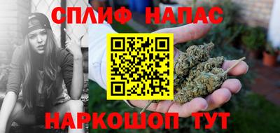 прущие грибы Краснознаменск