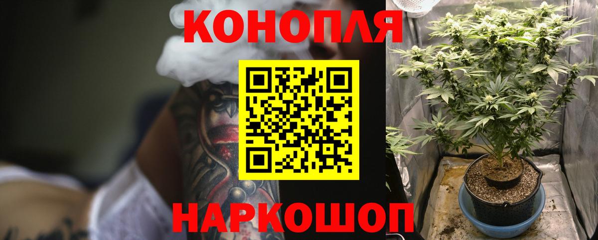 Бошки Шишки SATIVA & INDICA  Вход с VPN  Каменск-Шахтинский  Марихуана план 